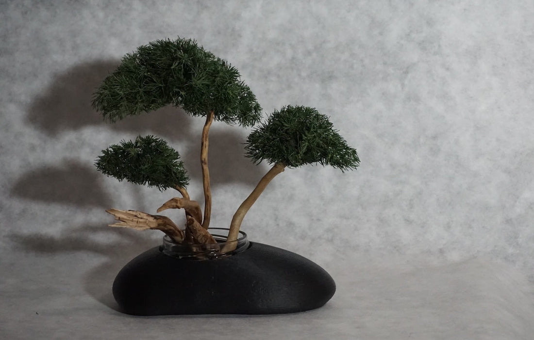 zen void 取扱開始