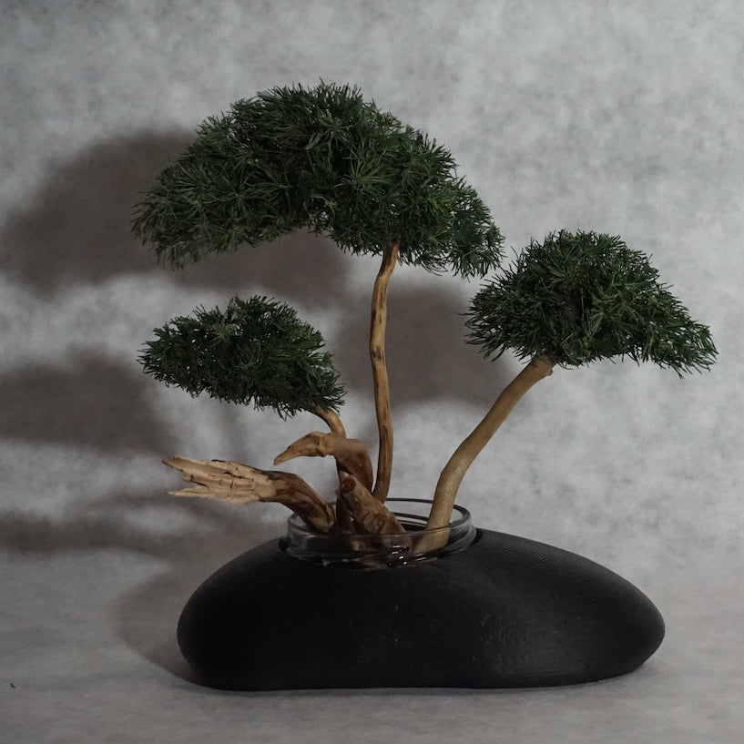 BONSAI fragrance reed diﬀuser – unnames.online shop