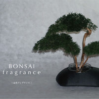 BONSAI fragrance reed diﬀuser