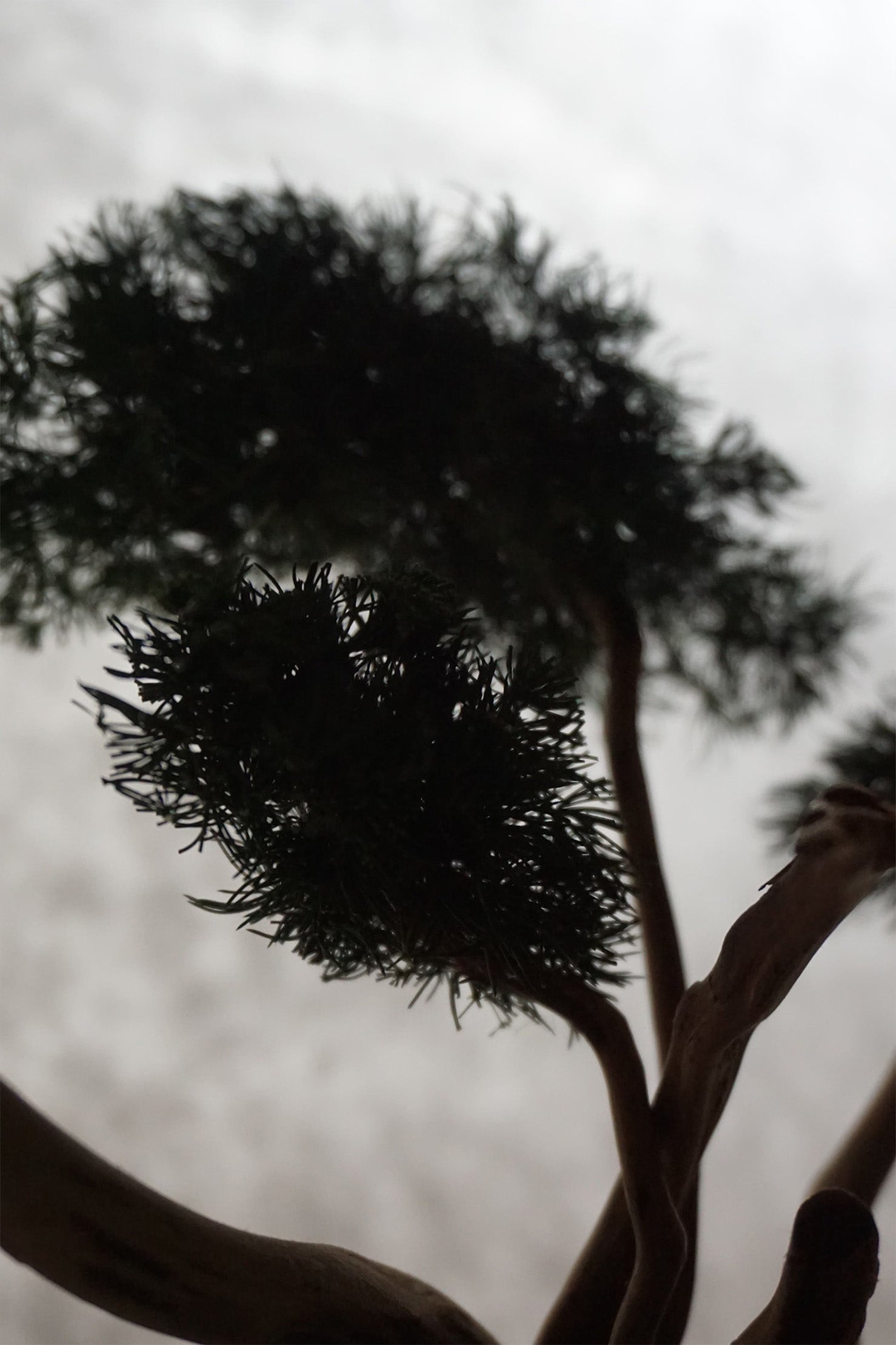 BONSAI Lil zen garden incense holder （枯山水式お香立て