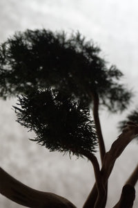 BONSAI Lil zen garden incense holder （枯山水式お香立て）