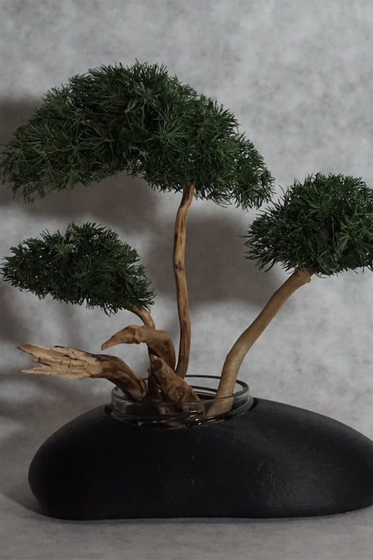 BONSAI fragrance reed diﬀuser