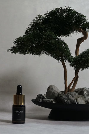 BONSAI fragrance stone diﬀuser