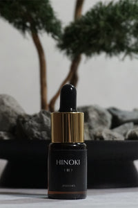 BONSAI fragrance stone diﬀuser